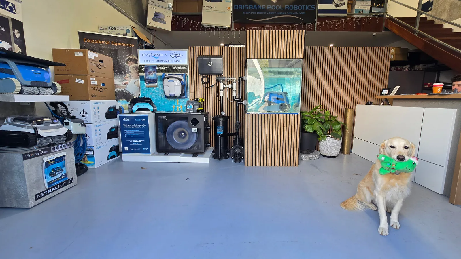 Brisbane Pool Robotics workshop where robotic pool cleaners are repaired and serviced
